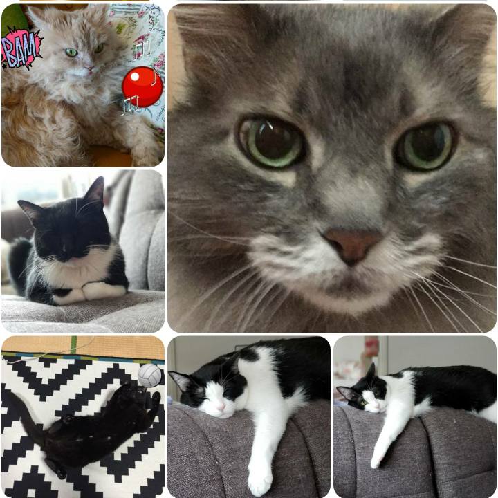 Da0a56e2 5a7f 447e b234 e6c8f576313e 1560515991994