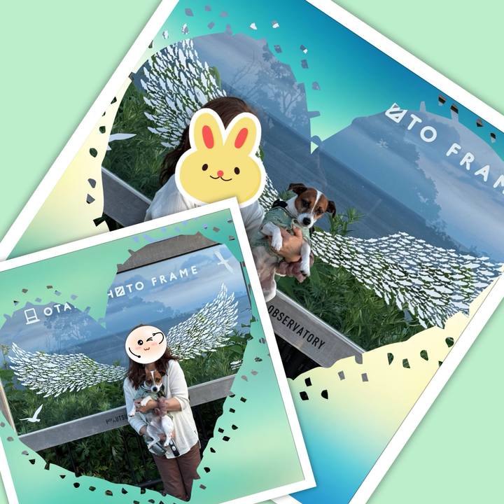 Da0a6b05 579d 41b9 a0cb c5215e07c781 1740053637427