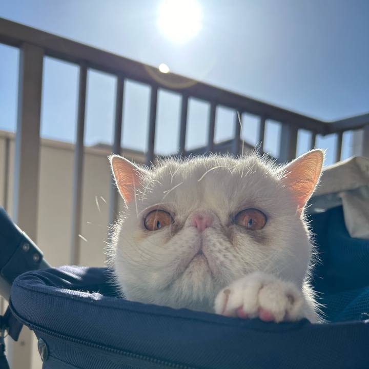 Da0a6e29 b162 43c8 bb64 9f651273ecd8 1704084652577