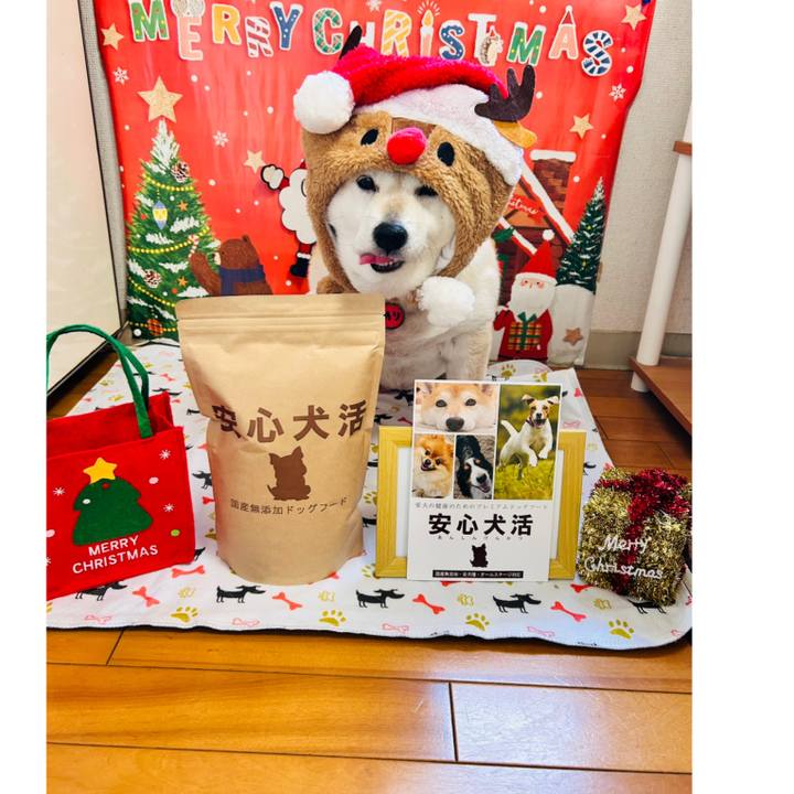 Da0a851f 5622 4663 81dd 9e1e1b6f77cb 1733544833782