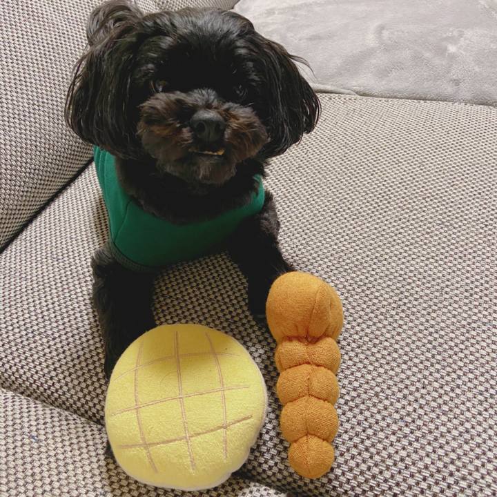 Da0a900d 963c 4d98 97c3 95585d112530 1582903665781