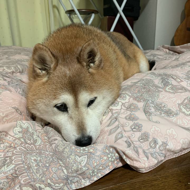 Da0ac4f9 bdc7 41fc b6d2 c103b563e802 1586440321144