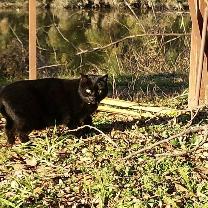 Da0ad721 36b8 4c92 86e6 792c5ac8f6e0 1513050479113