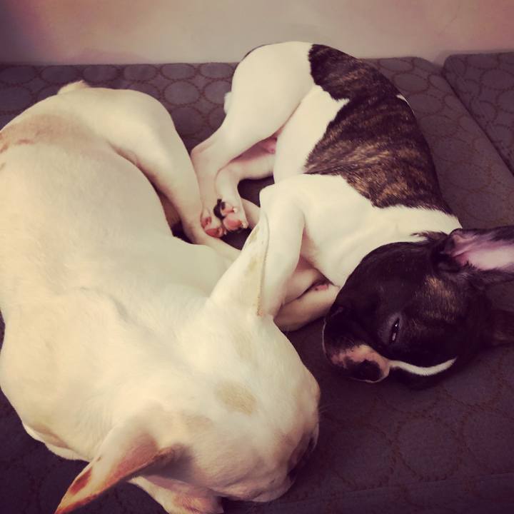 Da0adc64 c670 49c9 9714 332e54bec7a9 1605109835761