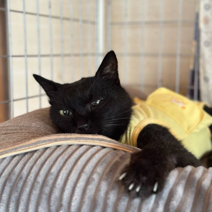 Da0ae4c7 feb6 4e9b a573 fdcbc96a5555 1720058576774