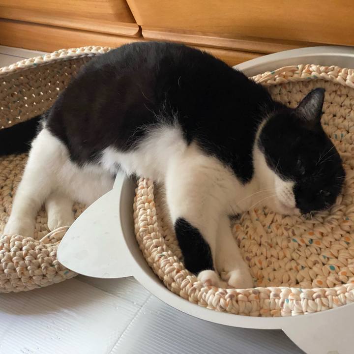 Da0ae6e0 8813 44a1 bad3 dac3dd2c8959 1628140548000