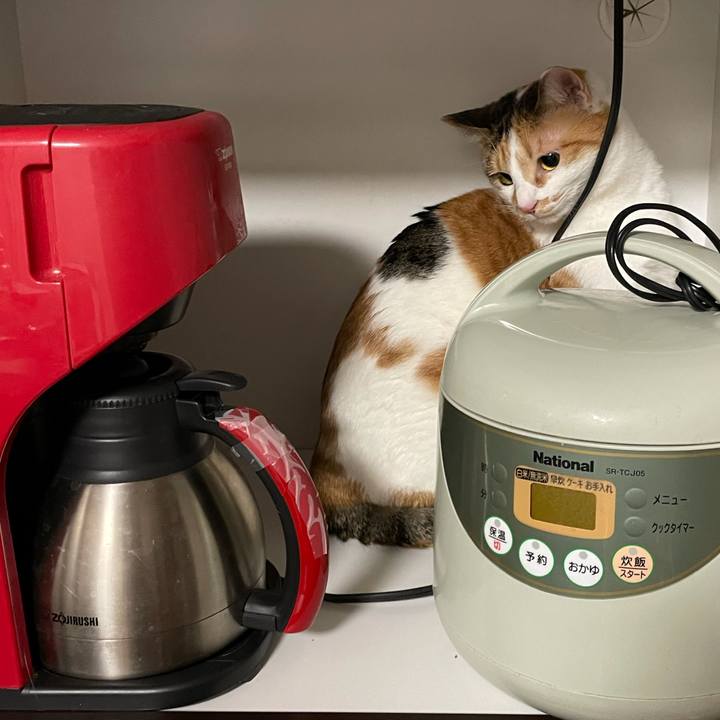 Da0b124f 5af8 4449 b55e d95cd7883f93 1612450601566