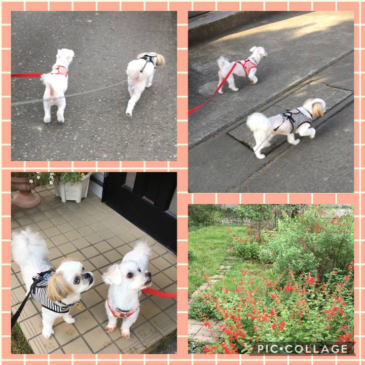 Da0b2351 7aff 4ab4 be83 520415d419b3 1601339002575