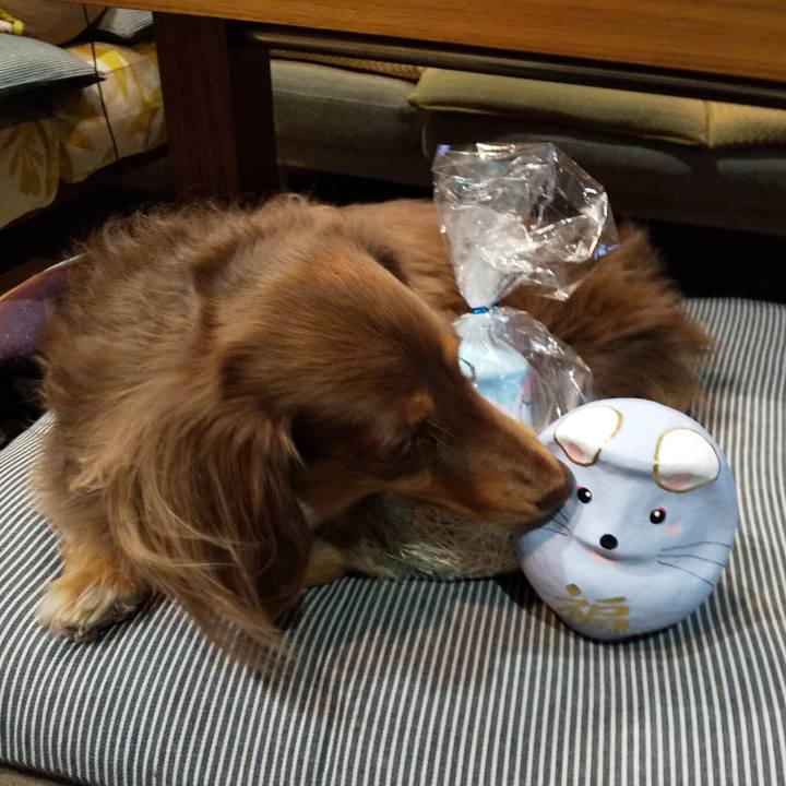 Da0b32d3 193f 4c1e a9c6 b56ebf5298d2 1578567101515