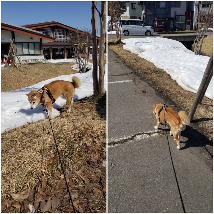 Da0b6786 2ef8 44c1 8d94 faec9b7a70e0 1772338263228