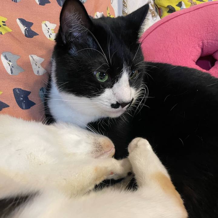 Da0ba293 c9fa 4d6f bd29 7350586dd3c0 1691663898087