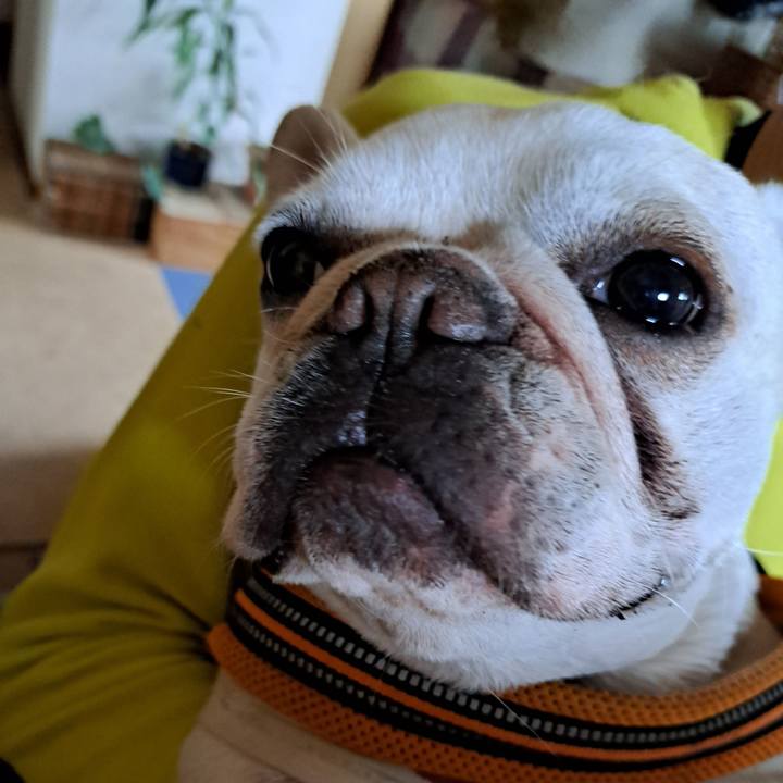 Da0bad11 72e4 46c2 b928 8a6bb4bb3a9f 1711961975003