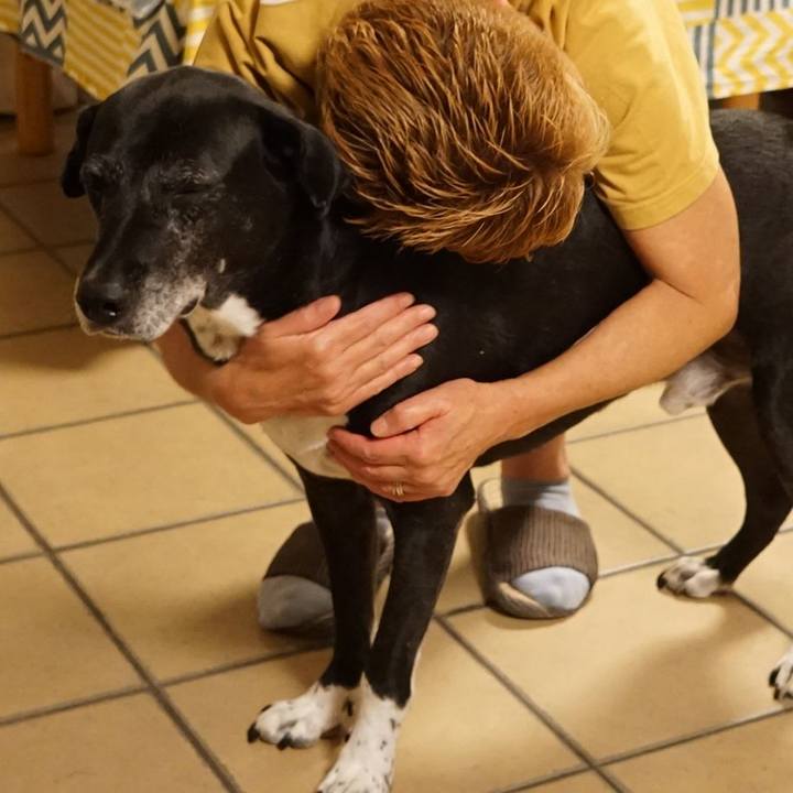 Da0bc01e a2ed 4049 abc7 ca22cf6aa633 1758712141227