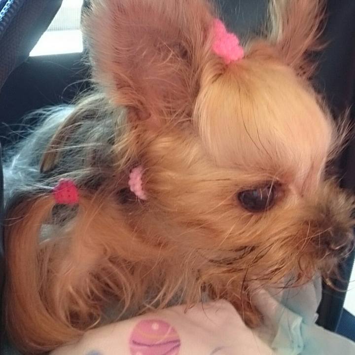 Da0bca9f 7ec9 417f 8770 e481df3ad423 1533367924803