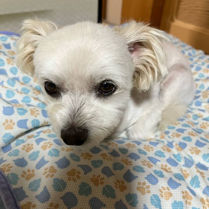 Da0bd69d 21ca 4fa7 8715 3704126a6f76 1658144842004