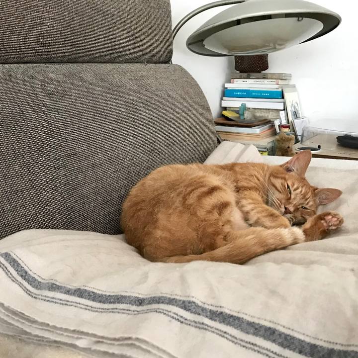 Da0bdaa6 1b4e 49aa 8cb6 b8f4627f528b 1561004645332