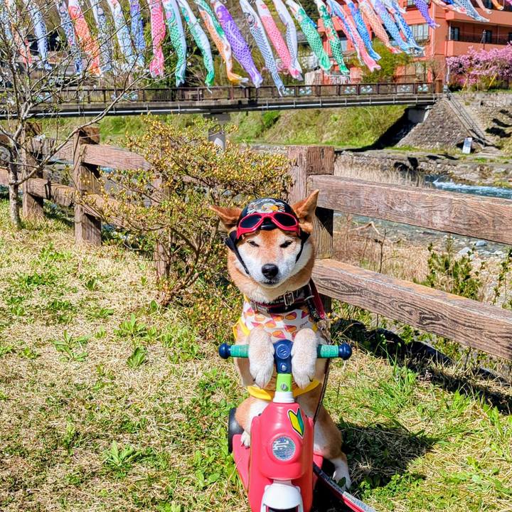 Da0c02af 4cff 4678 86ac d2b4c7afb109 1745414658709