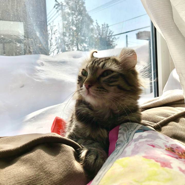 Da0c44a2 3320 4d38 bd94 e6b63e8a4339 1741009090616