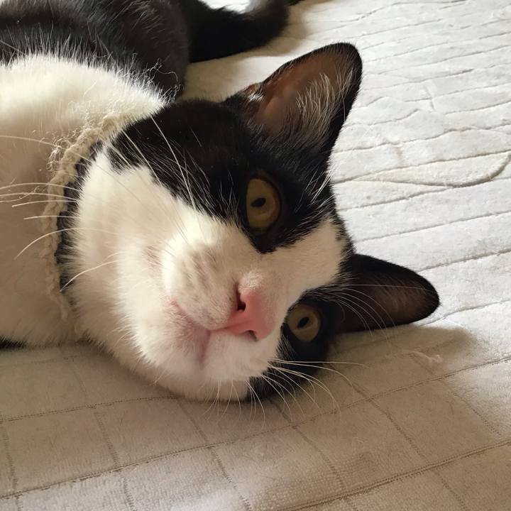 Da0c4f9b d15d 4dc1 90c8 cbf75481e44d 1654407551855