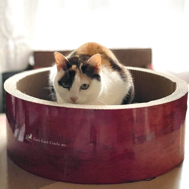 Da0c9b84 c2e1 4c31 bf86 26a82a05a366 1645062743190