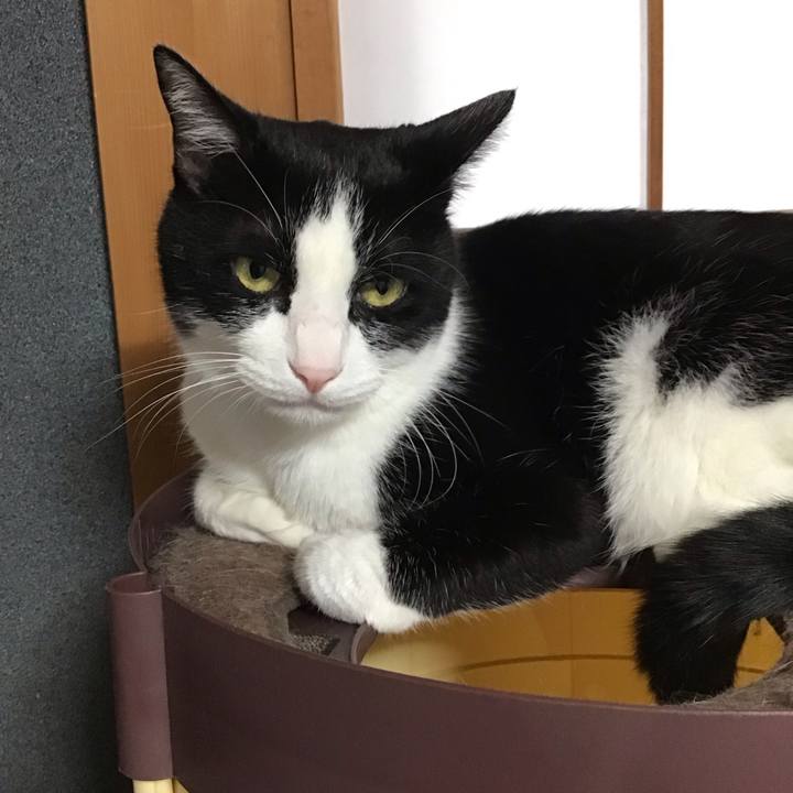 Da0cd92e adea 4299 894a b7ab3f071283 1754729850815