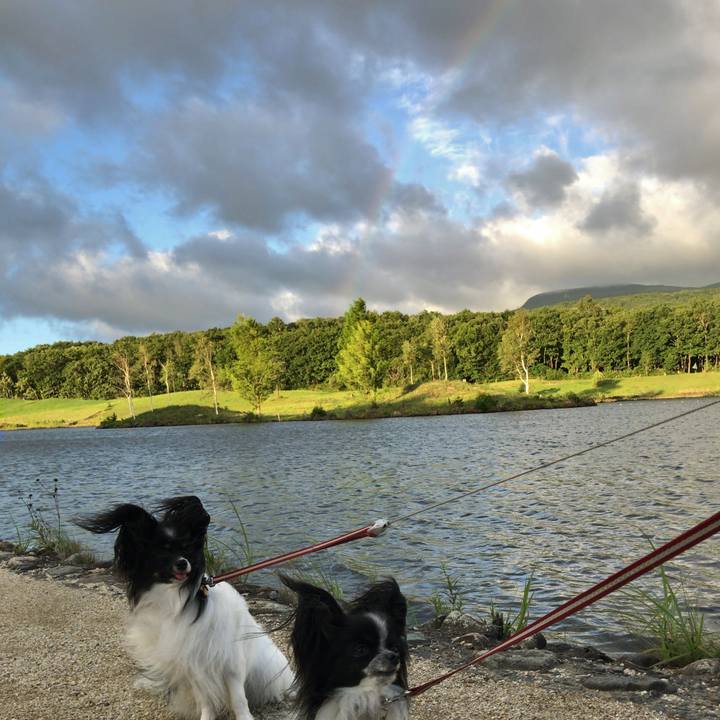 Da0cf8b1 f081 4752 8149 75b5bb4cd2d4 1534455068752