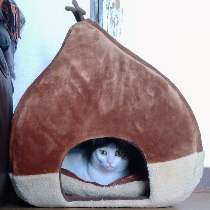 Da0d180b edb6 424f a912 d6f461ea468e 1672623425546