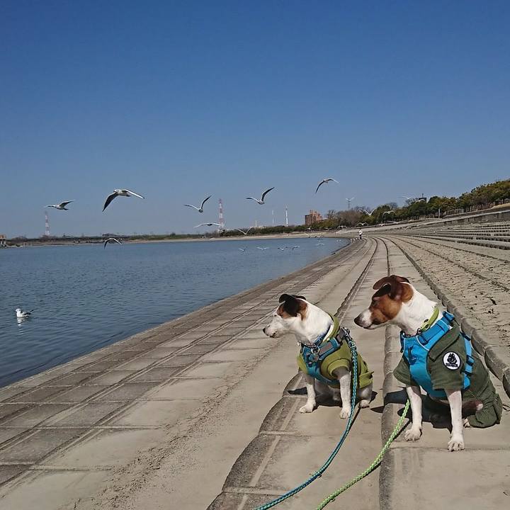 Da0d1d1c bb56 46e3 a664 938586ea5bb0 1582515074422