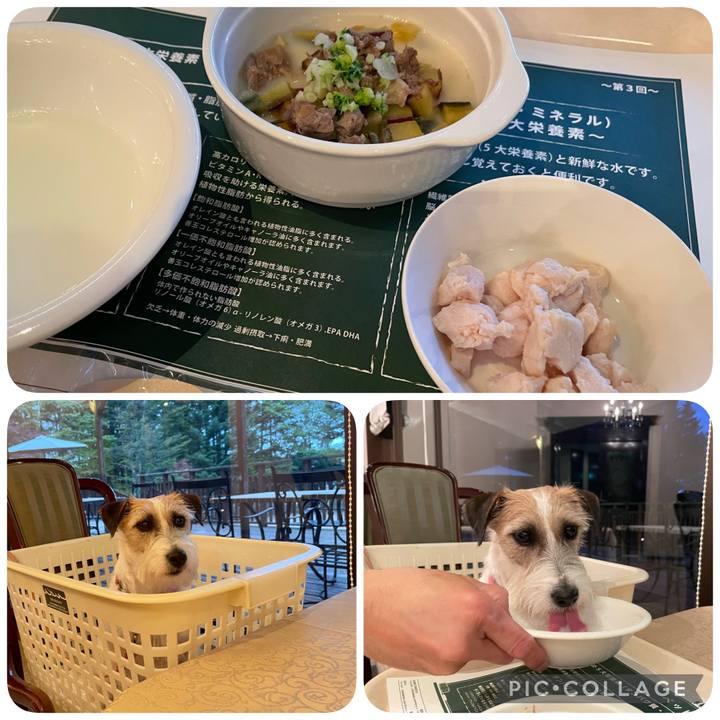 Da0d1ff7 bf0e 4267 81ae f2dd0b2425bb 1652105724049