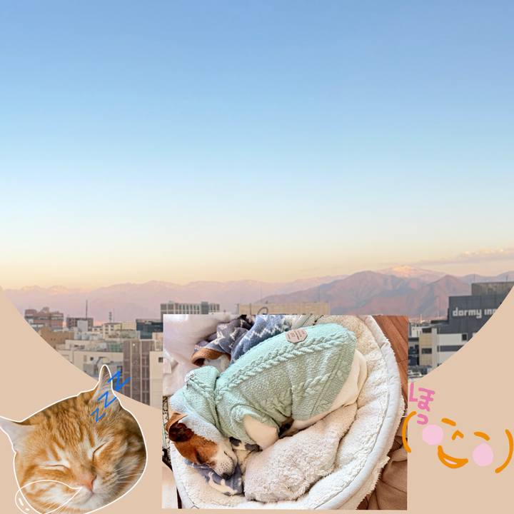 Da0d3cd9 2650 4e4c aecd eff9e30d385f 1773742085772