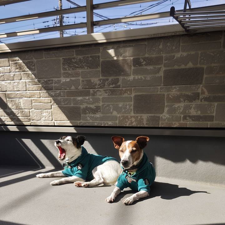 Da0d641d 0804 4d4a 8161 955dcf0c3d5b 1761712926416