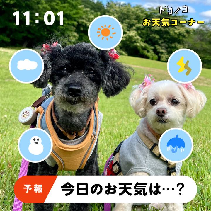 Da0d8310 6f51 45ad b820 1cc381c1bfc9 1781504745287