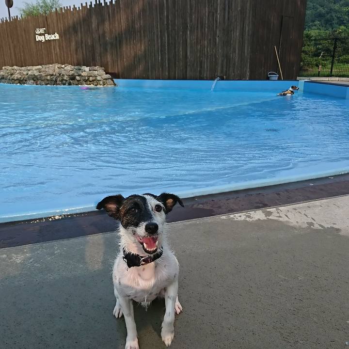 Da0df964 c5dc 457b 8134 fb6a086e4ff0 1531903047383