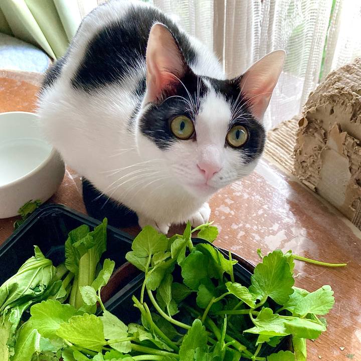 Da0e272b 3c28 4252 b2b6 eb791f6a49f4 1666680520427