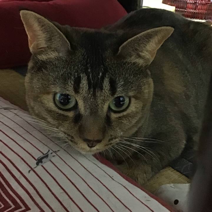 Da0e4a88 806b 4cb1 8d56 e0f208960ea8 1663160149489