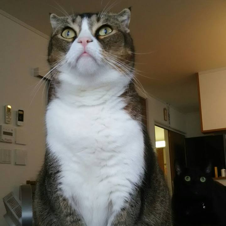 Da0e664c 0306 4987 b271 5e5c3c2e8f78 1536969975979