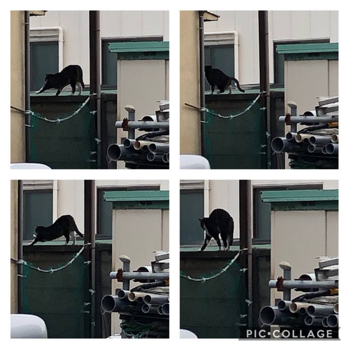 Da0e7feb 34fc 4f10 8e34 544fc081cecd 1612108376260