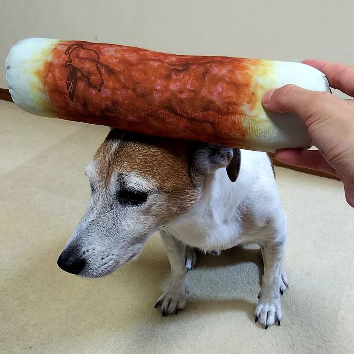 Da0ecfdb c744 45bf 8ad3 1f7e50ca62c8 1534321082819