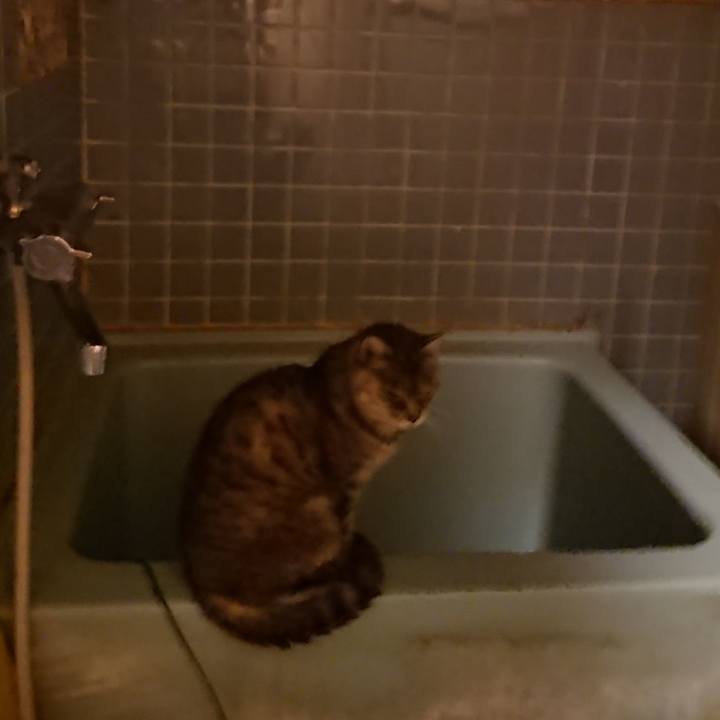 Da0edbbd 05b8 42da bdce feefee78d25c 1572600822492