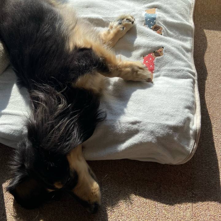 Da0f39ba 04a8 4057 9894 4f21bb8fa738 1737680799139