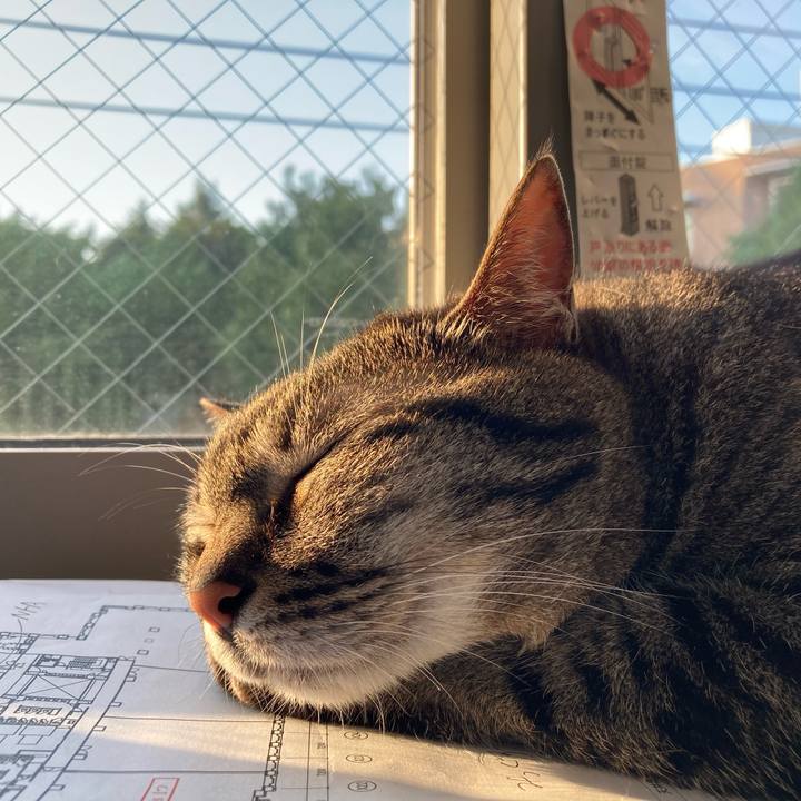 Da0f573f e017 4ae3 a134 da897e21eecf 1686992110898