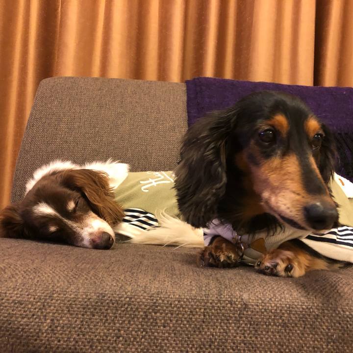 Da0f63d7 b970 4798 8e66 01993d3f1d5e 1547042133005