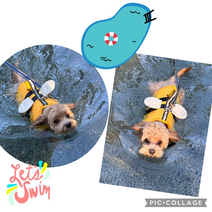 Da0f6580 2cff 4589 bc7b 9923ee25a95a 1757310496256