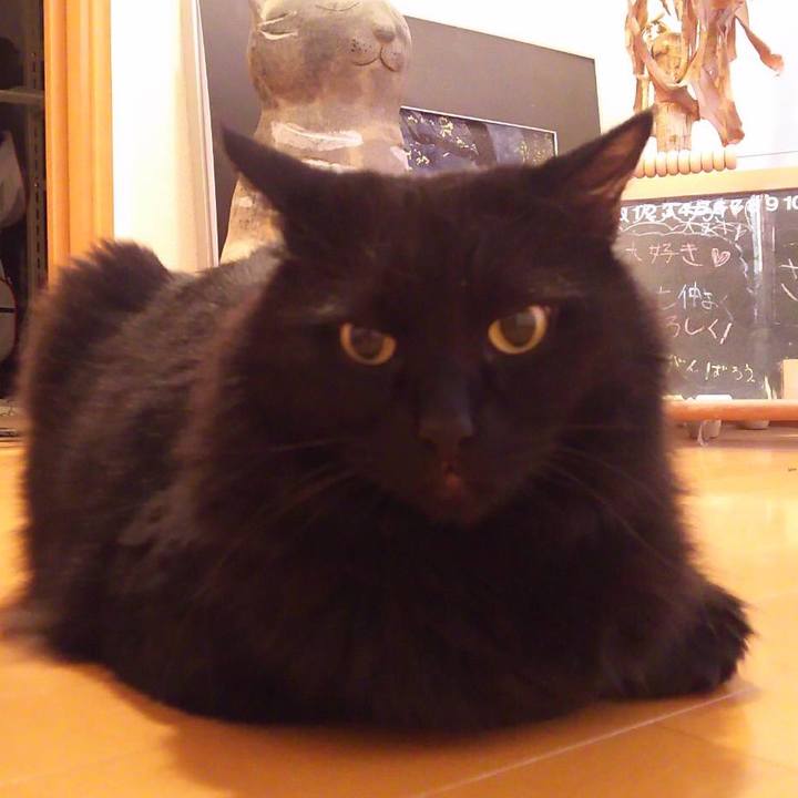 Da105bab 5319 44d0 ad42 e1156194700e 1510297729350