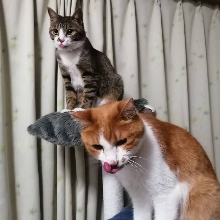 Da106a04 de4d 4586 903a 47912d4f99a4 1682631461734