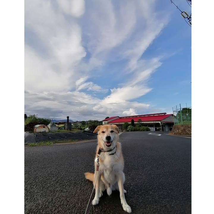 Da106d17 39b1 4535 be17 fa0aea587482 1595751268418