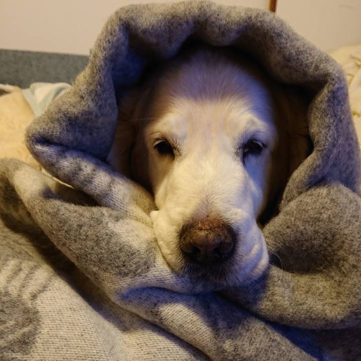 Da108abb 57ed 4826 b01c 5d909664dcc6 1579791102824