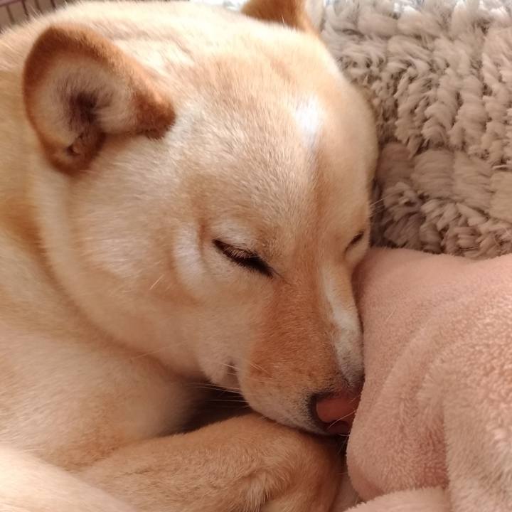 Da1106b9 a164 4529 a165 5750e0af7645 1585964552455