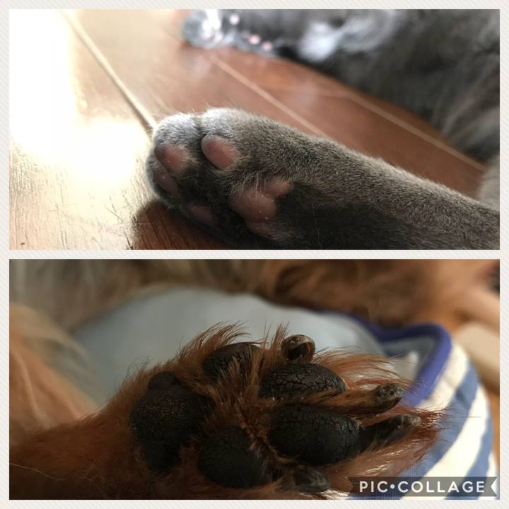 Da112e88 e803 41eb 89b0 55a571837ecd 1530230649977