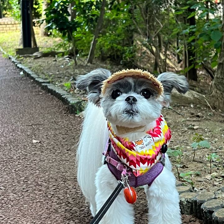 Da1197ce d792 4aa0 856c ebb9fcfa36a6 1689470963391